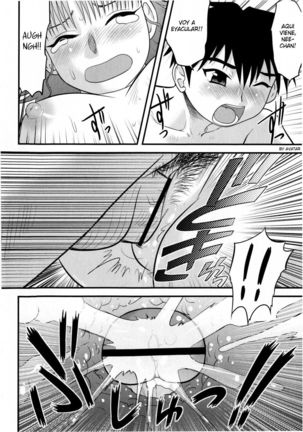 In Shu Ane  Hot Drunk Sister Page #16