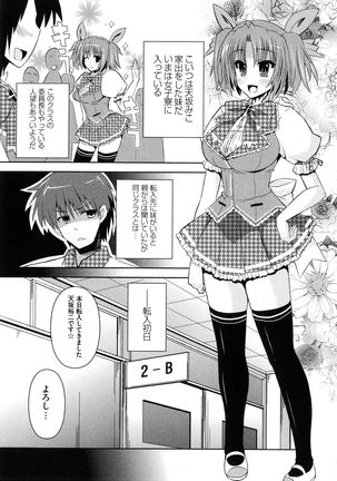Image 10288753