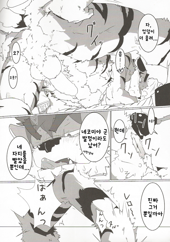 Tachi Yoriba