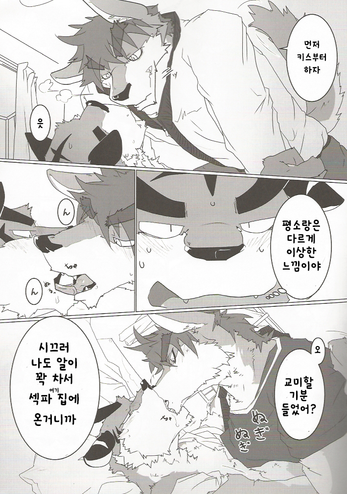 Tachi Yoriba