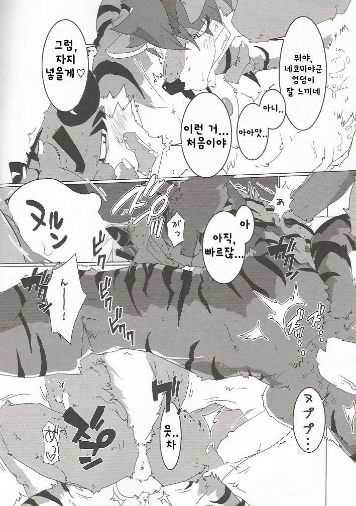 Tachi Yoriba