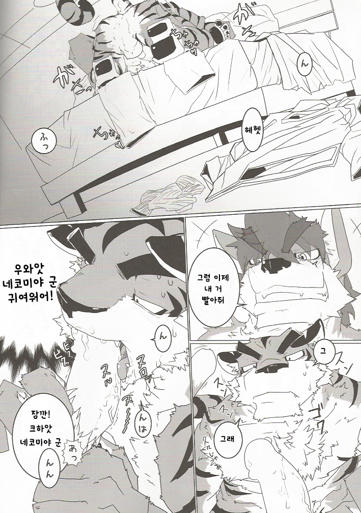 Tachi Yoriba