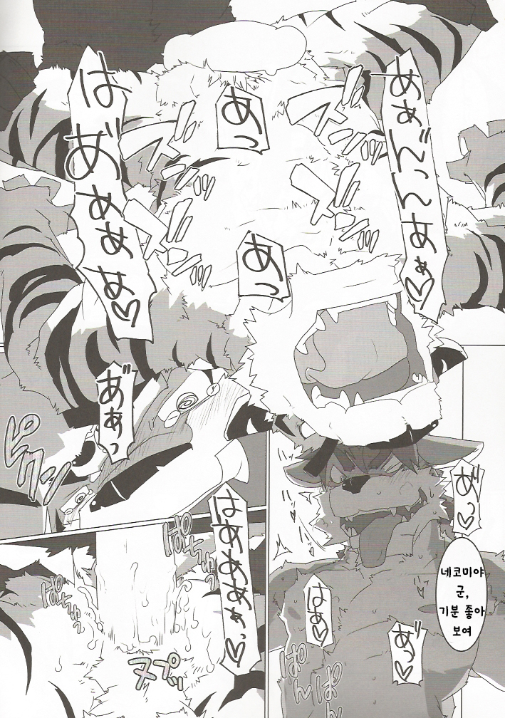 Tachi Yoriba