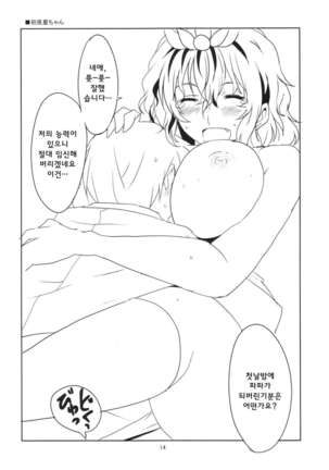 Touhou Shinkon Shoya | 동반 신혼 초야 Page #16