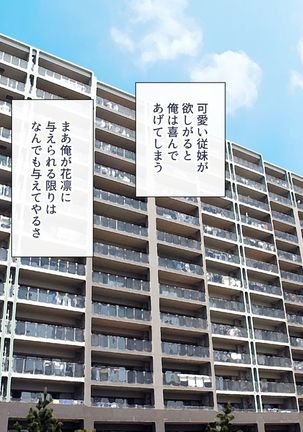 Uchiki na Jyumai ga Ore no Tame ni Karada wo Kitaeta Kekka Page #88