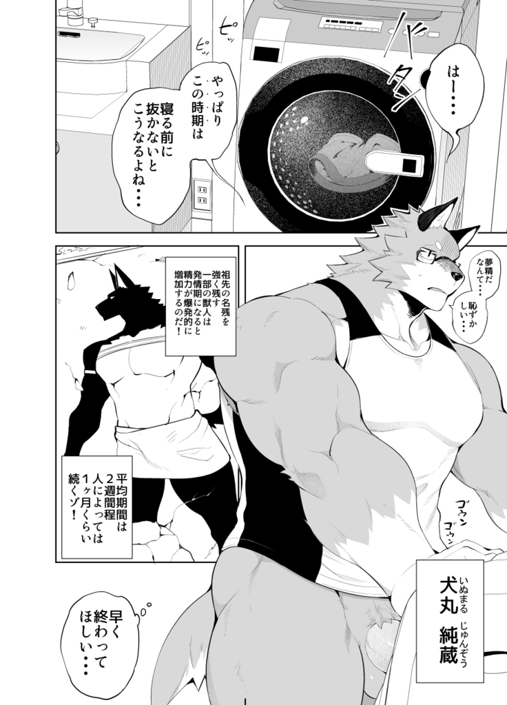 Hatsujou Phase