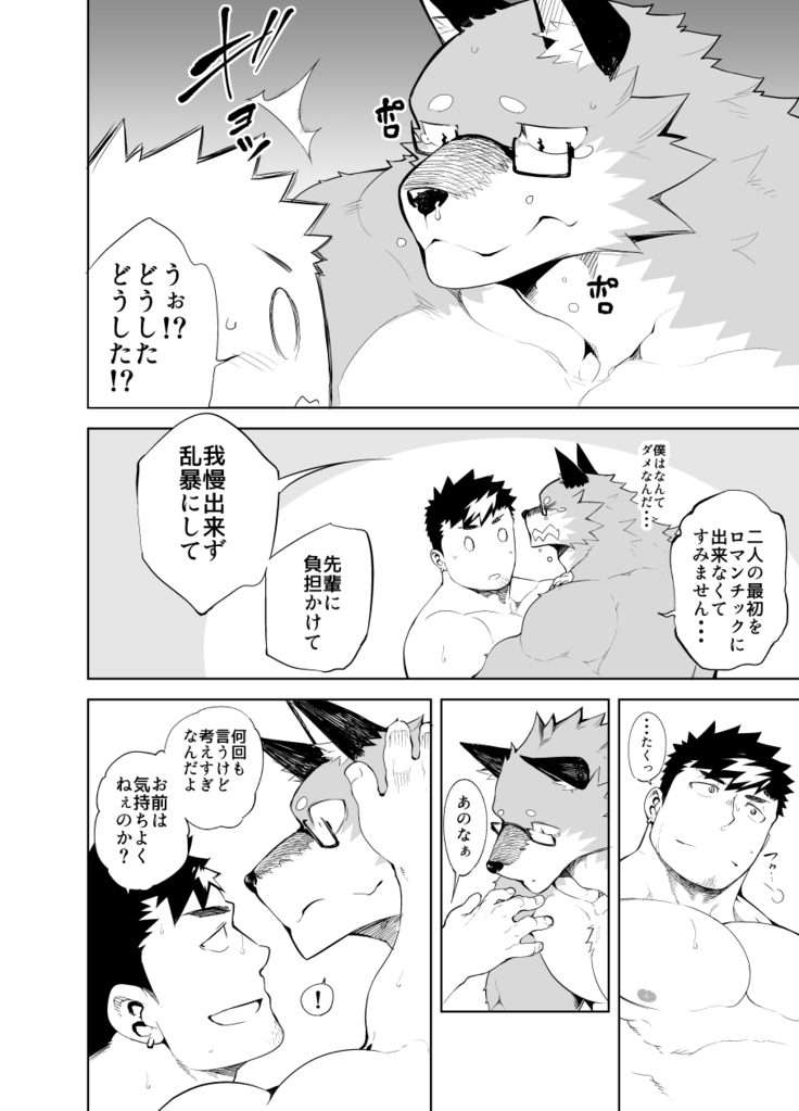 Hatsujou Phase