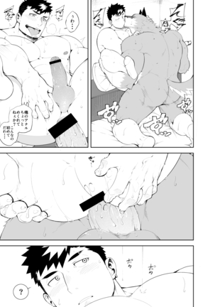 Hatsujou Phase Page #21