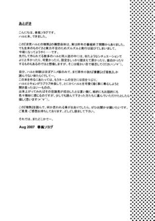 Suzumiya Haruhi no Binetsu - Page 18