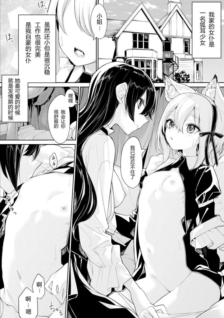 Kitsune mimi meidosanto ojōsama no yoru