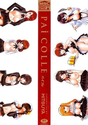 Oppai Collection - Pai Colle