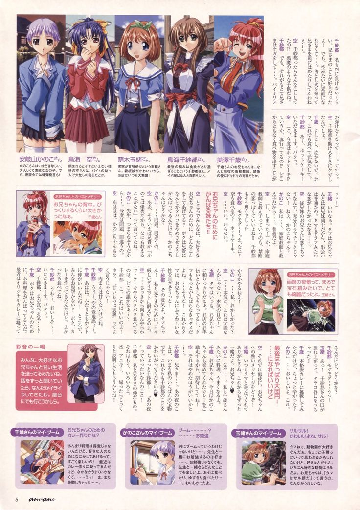Natural 2 Duo Visual Fan Book