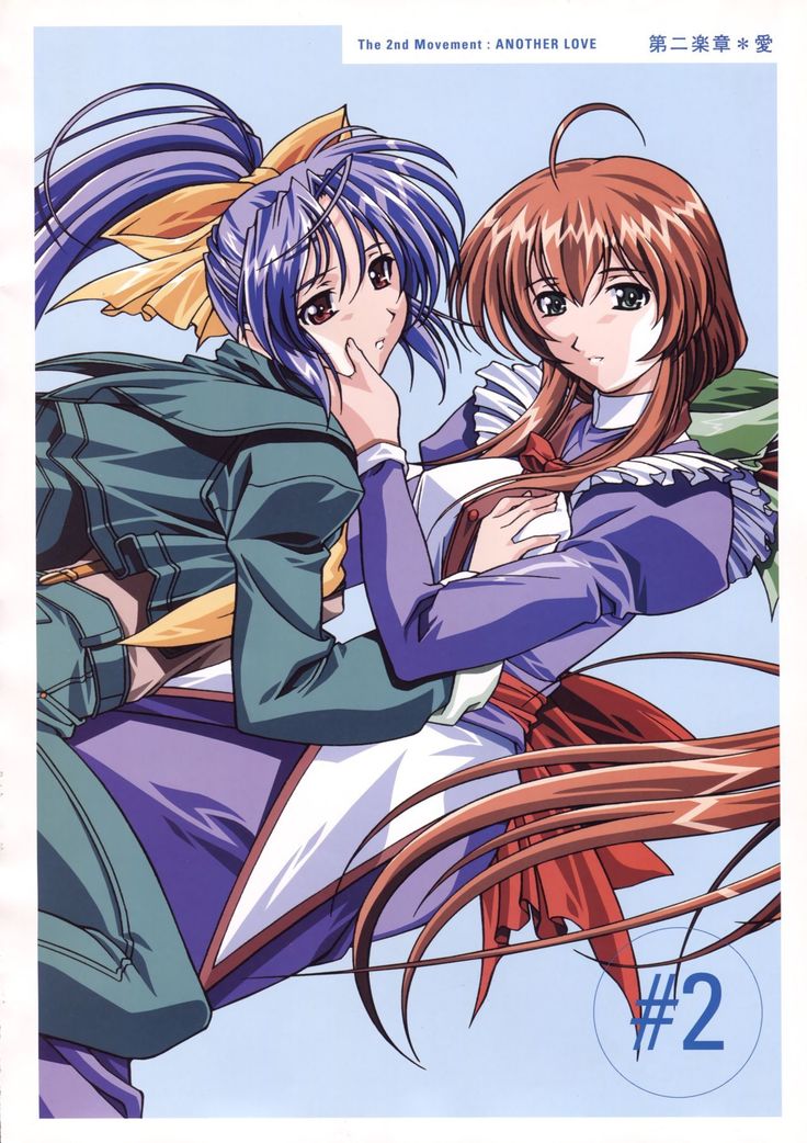 Natural 2 Duo Visual Fan Book
