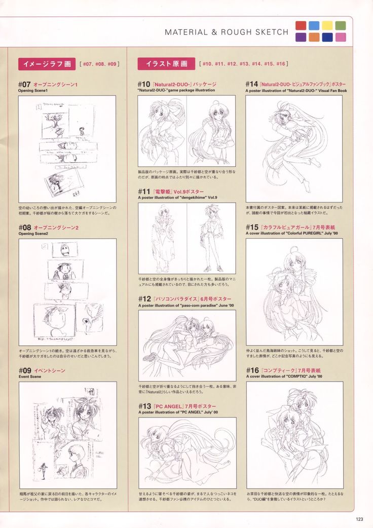 Natural 2 Duo Visual Fan Book