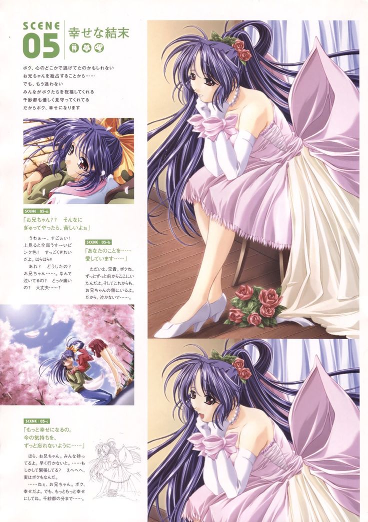 Natural 2 Duo Visual Fan Book