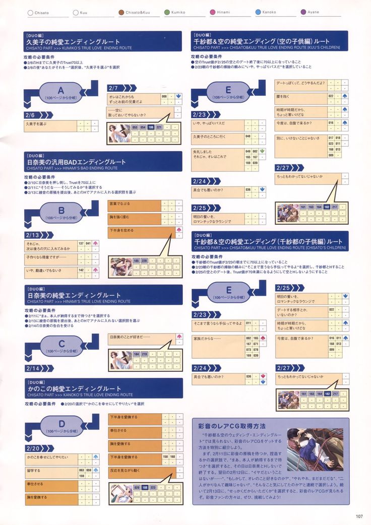 Natural 2 Duo Visual Fan Book