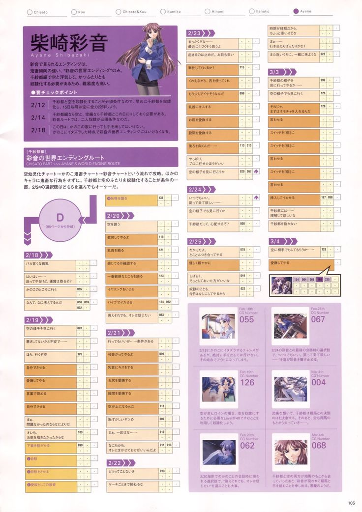 Natural 2 Duo Visual Fan Book