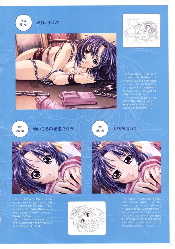 Natural 2 Duo Visual Fan Book