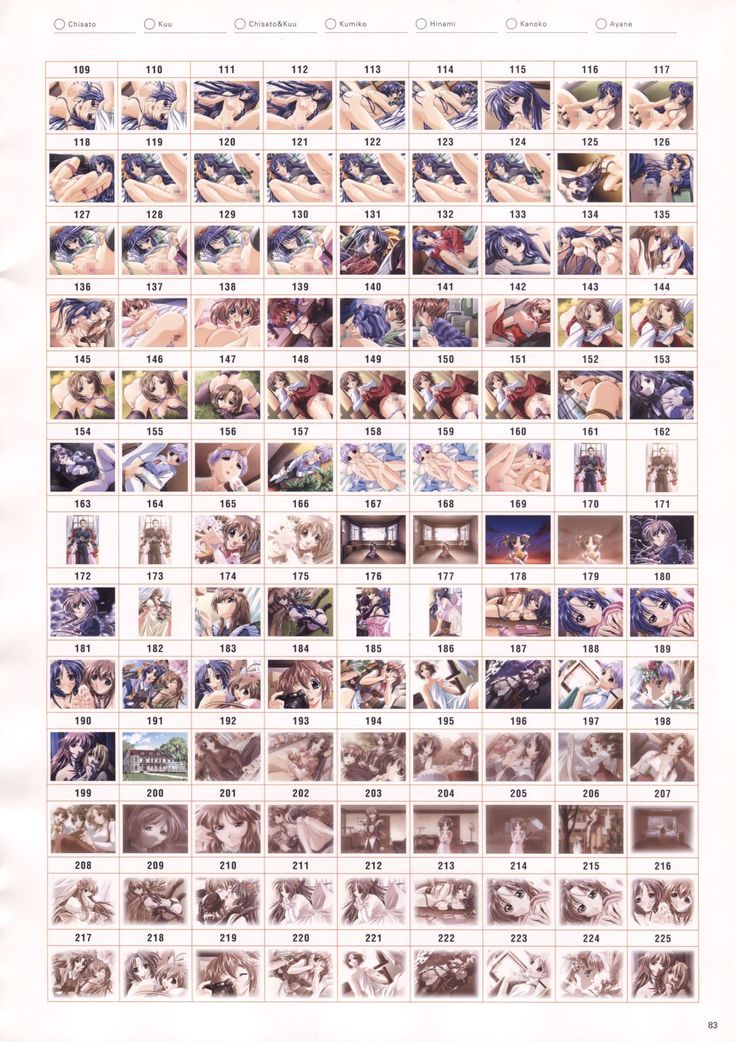 Natural 2 Duo Visual Fan Book