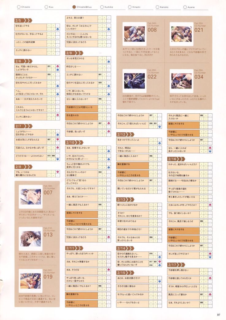 Natural 2 Duo Visual Fan Book