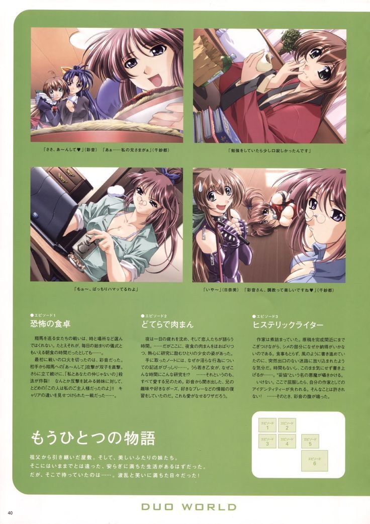 Natural 2 Duo Visual Fan Book