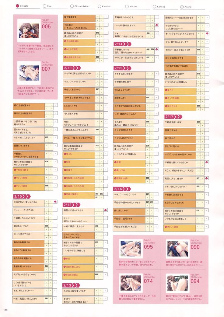 Natural 2 Duo Visual Fan Book