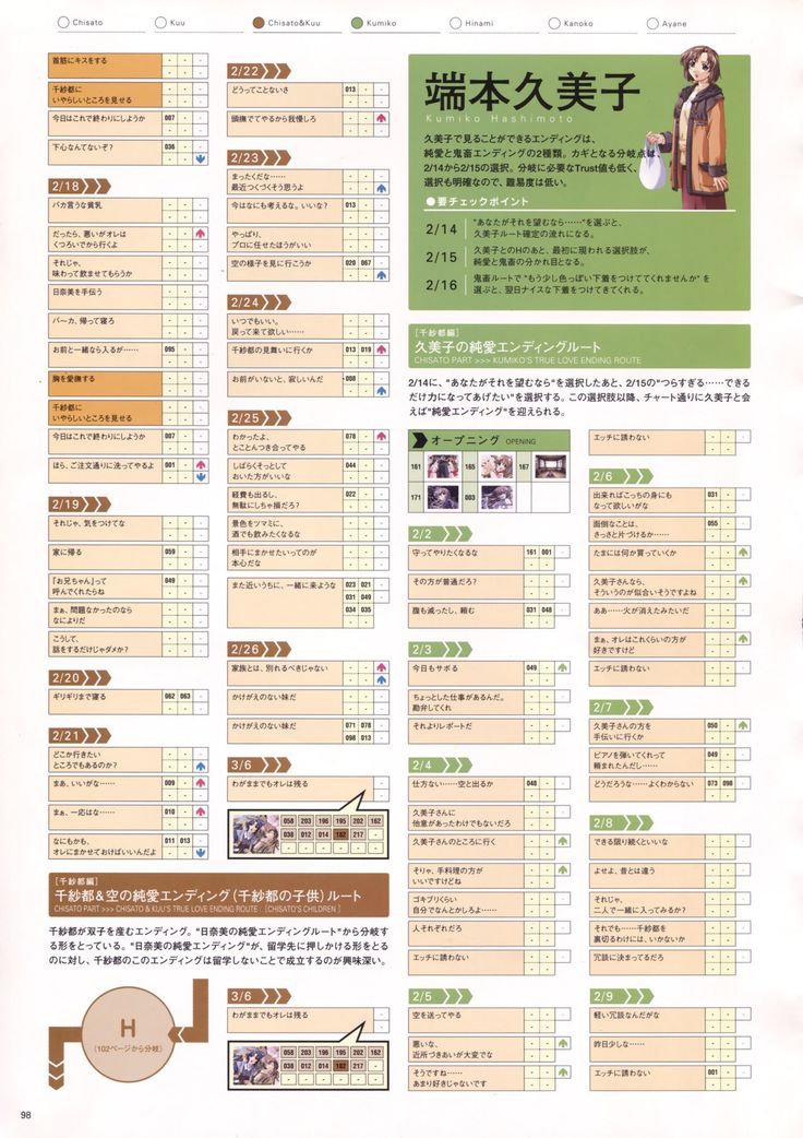 Natural 2 Duo Visual Fan Book
