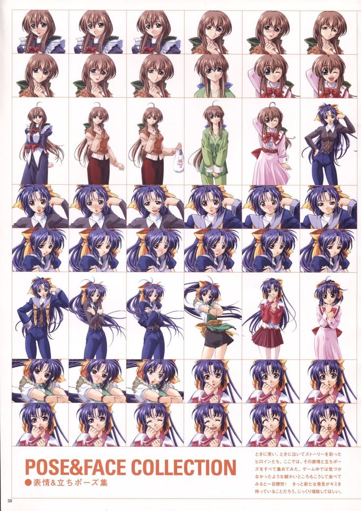 Natural 2 Duo Visual Fan Book