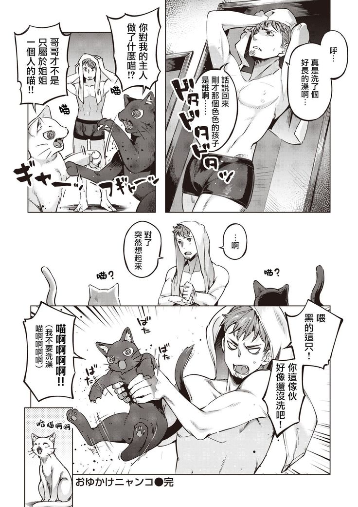 Oyukake Nyanko | 不想洗澡的小猫