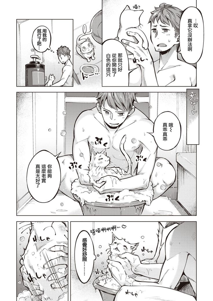 Oyukake Nyanko | 不想洗澡的小猫