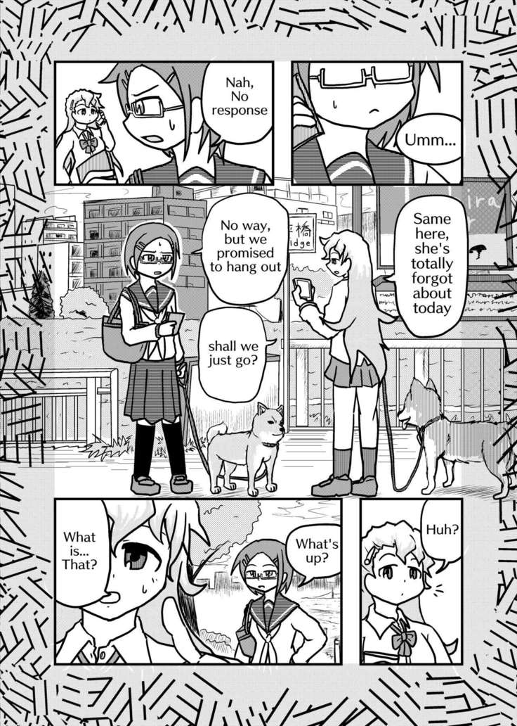 Henka-kei-bo TF Account book