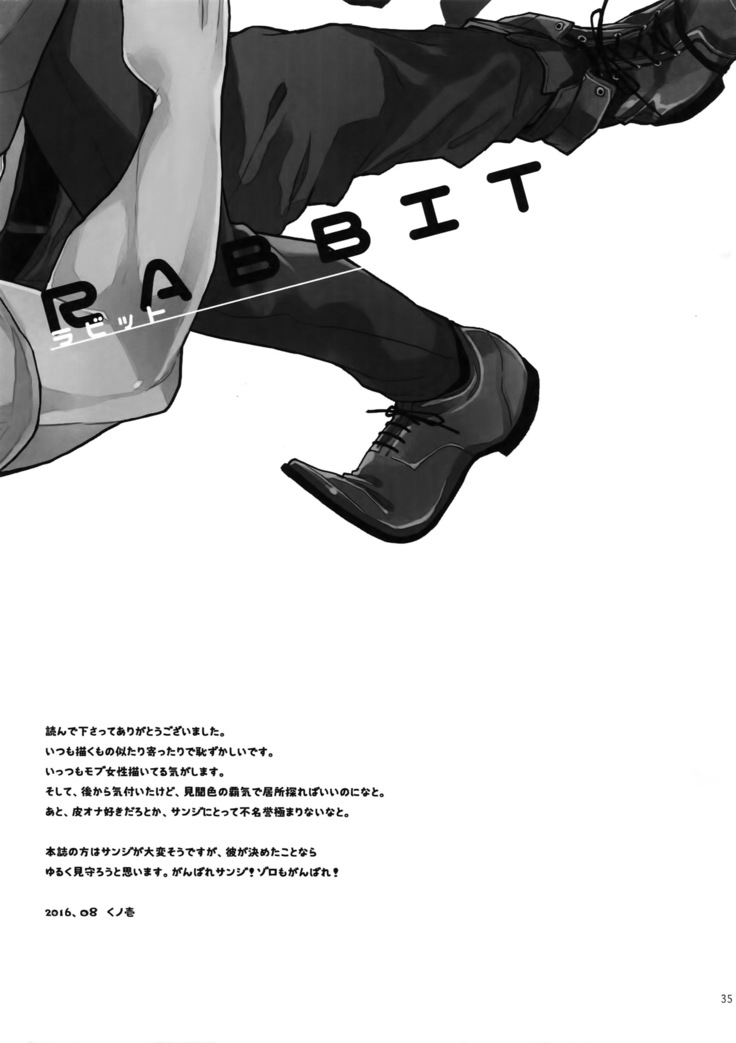 RABBIT