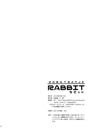 RABBIT Page #37