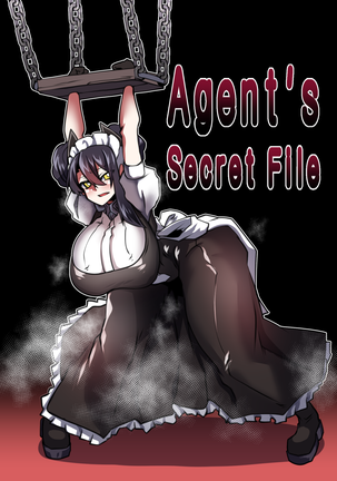 Agent's Secret File