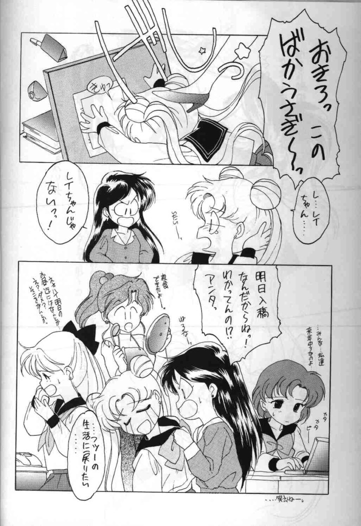 SAILORS ORANGE VERSION