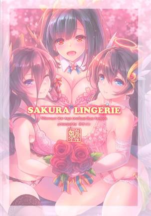 SAKURA LINGERIE 千年戦争アイギス Page #18