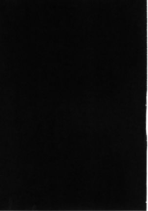 Image 4486230