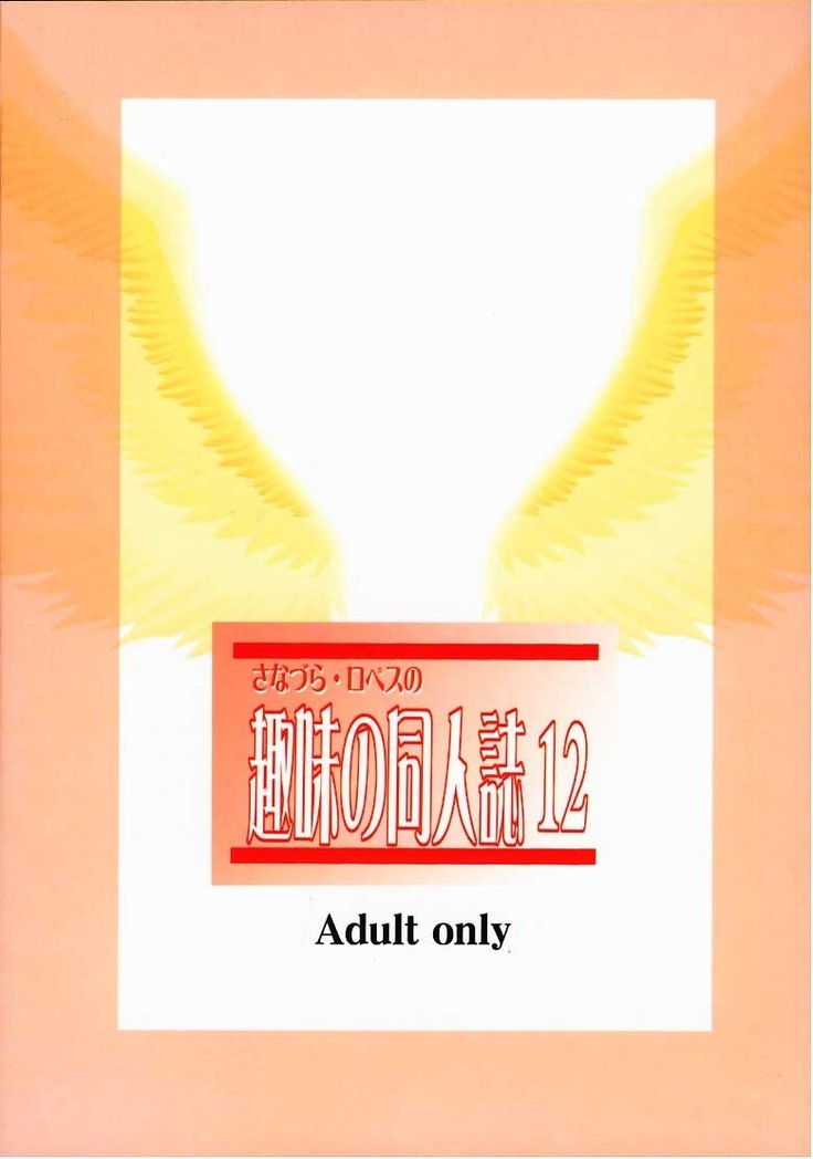 Shumi no Doujinshi 12