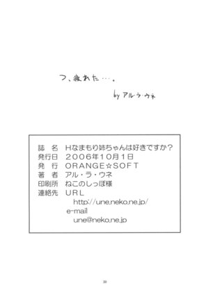 H-na Mamori Nee-chan wa Suki Desu ka - Page 29