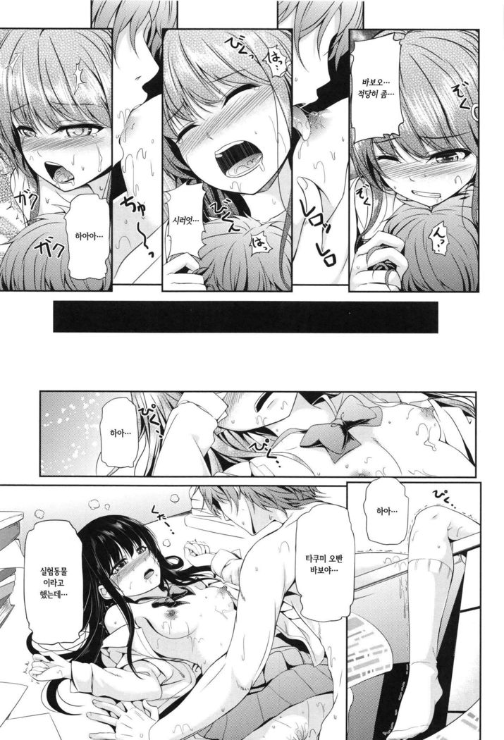 Watashi no Marmotte