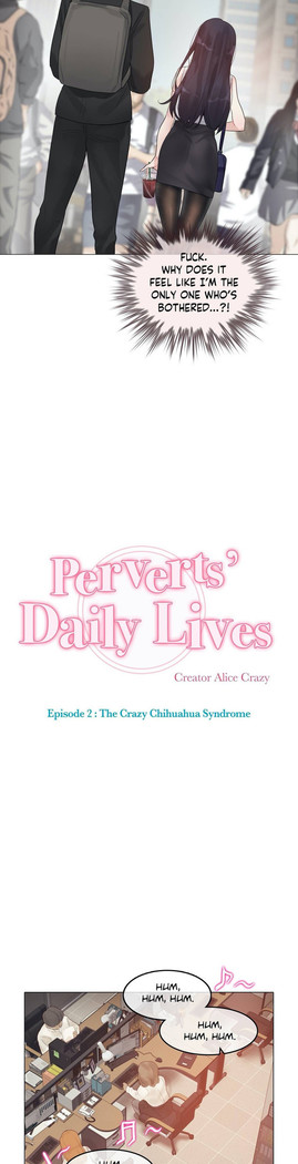 Perverts' Daily Lives Episode 2: Crazy Chihuahua Syndrome