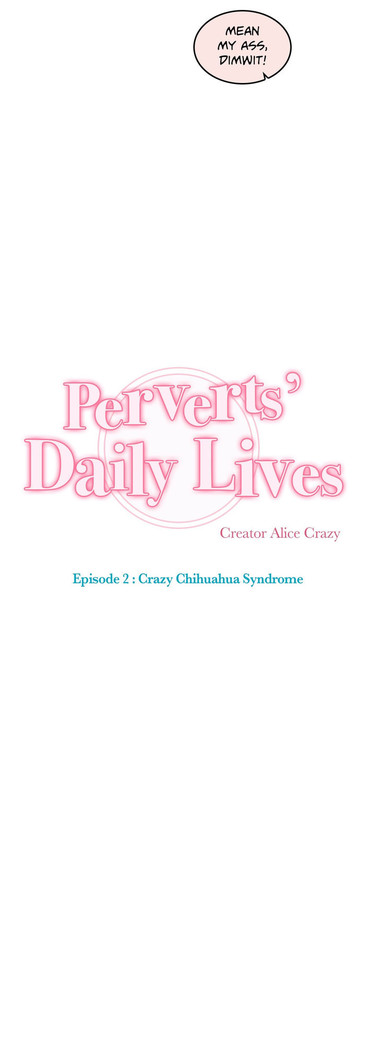 Perverts' Daily Lives Episode 2: Crazy Chihuahua Syndrome