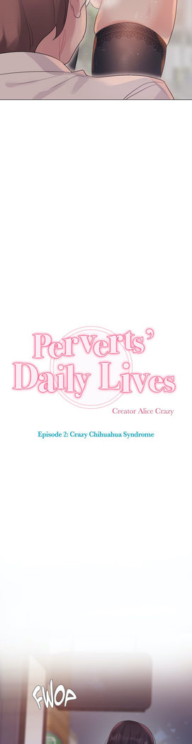 Perverts' Daily Lives Episode 2: Crazy Chihuahua Syndrome