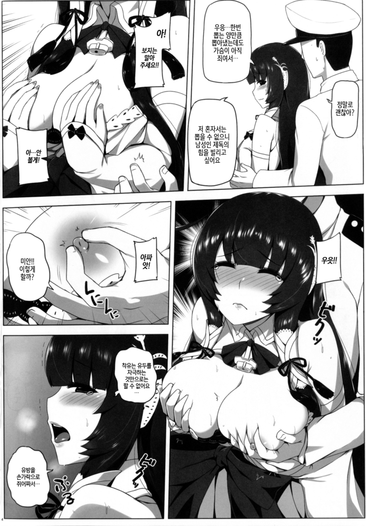 Mizuho Rennyuu