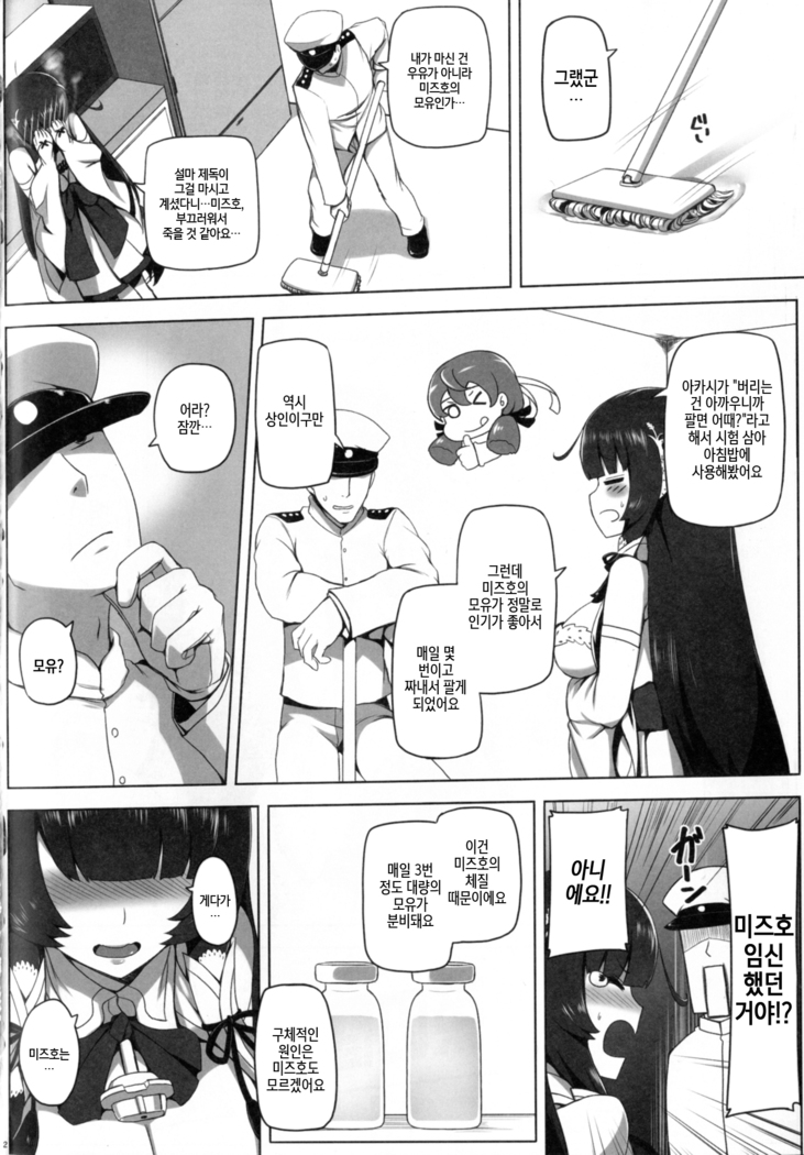 Mizuho Rennyuu