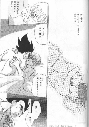 W SPOT Page #15
