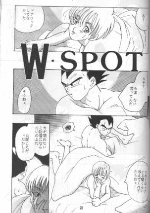 W SPOT Page #23