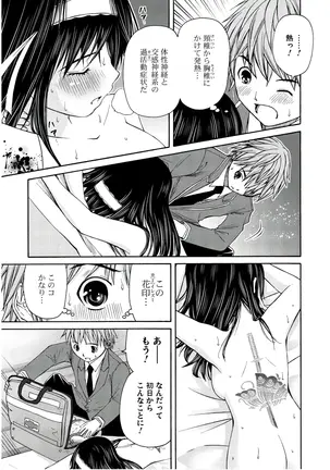 Image 14311491
