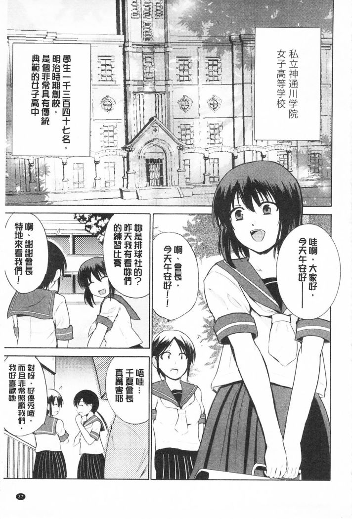Tricolor Highschool | 三種色彩的女高中生