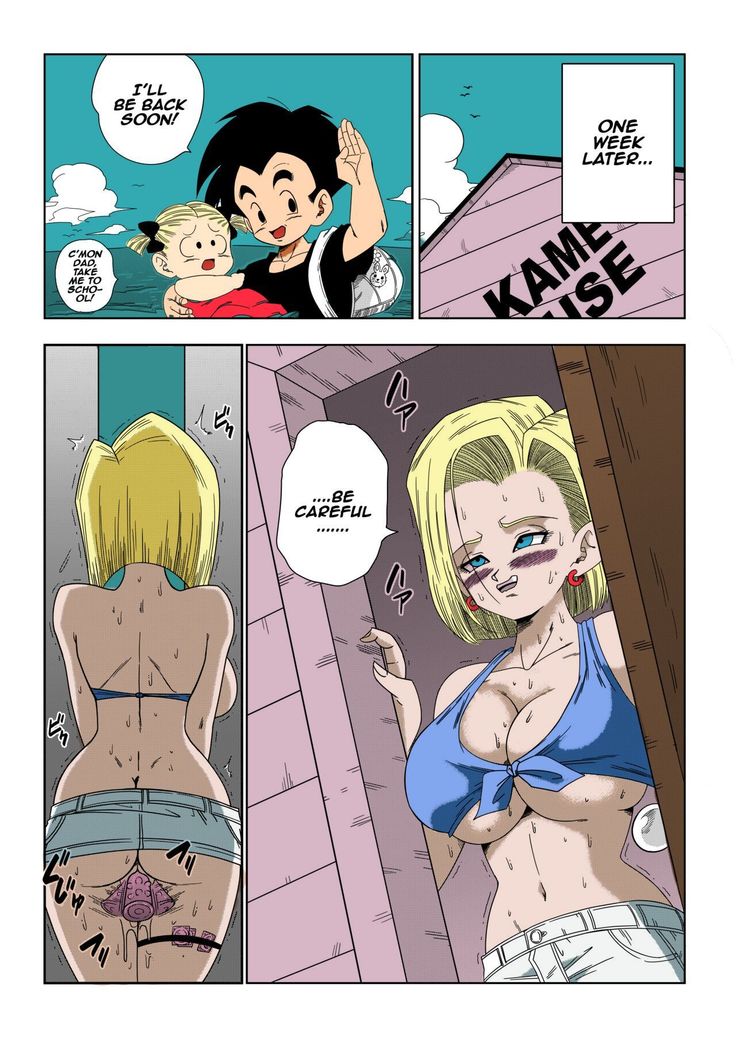 18-gou vs Kame Sennin Android n18 VS Kamesennin    colorrized